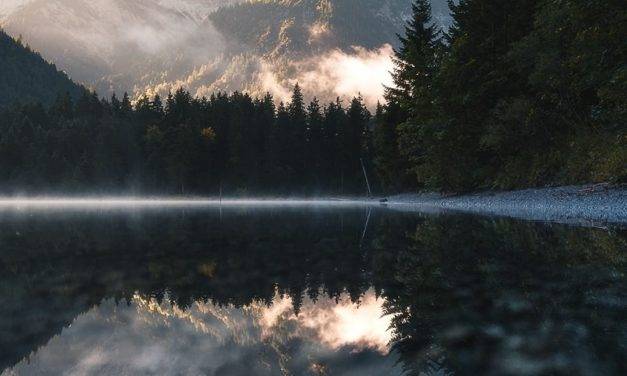 Réflexions tôt le matin par  Daniel Koehalmi …