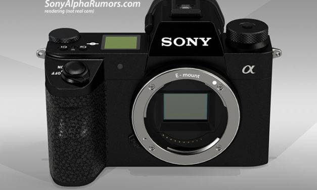 Faire le cas pour le Sony A7000