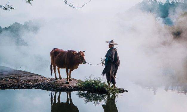 Le photographe @cocoanext partage les vues capturées du comté de Jinyun en Chine
