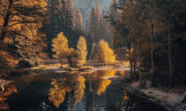 Une série d’automne par  @philngyn