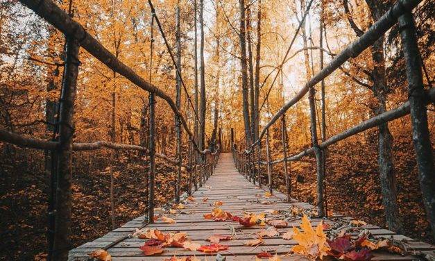 Vues d’automne au Nikola-Lenivets Art Park en Russie