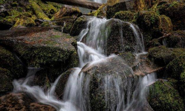 Cascade à Proxy Falls …