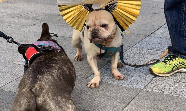 Concours Sony α Universe : Portraits d’animaux de compagnie
