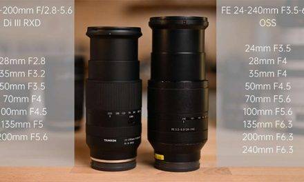Comparaison entre Tamron 28-200mm et Sony 24-240mm